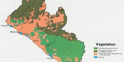 Mapa vegetace mapa Libérie